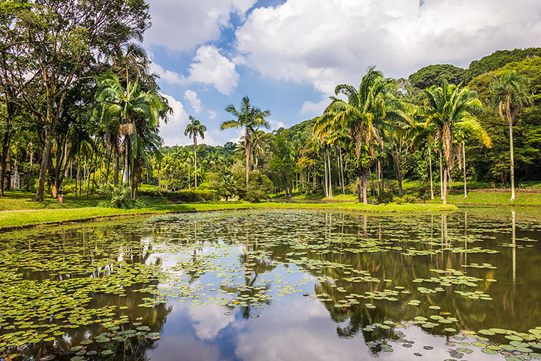 Jardim Botânico em São Paulo