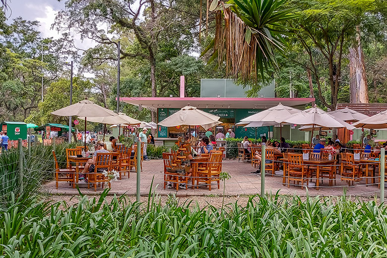 Parques em São Paulo além do Ibirapuera