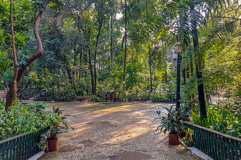 parques em São Paulo Avenida Paulista