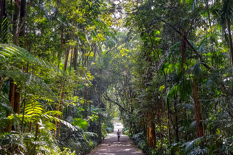 parques para correr em São Paulo