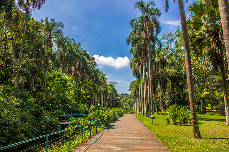 Zoologico em São Paulo