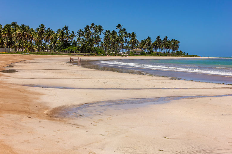 São Miguel dos Milagres melhor época