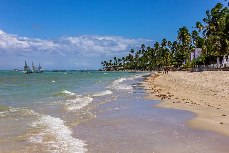 Praia dos Carneiros: Onde fica, Como chegar e +